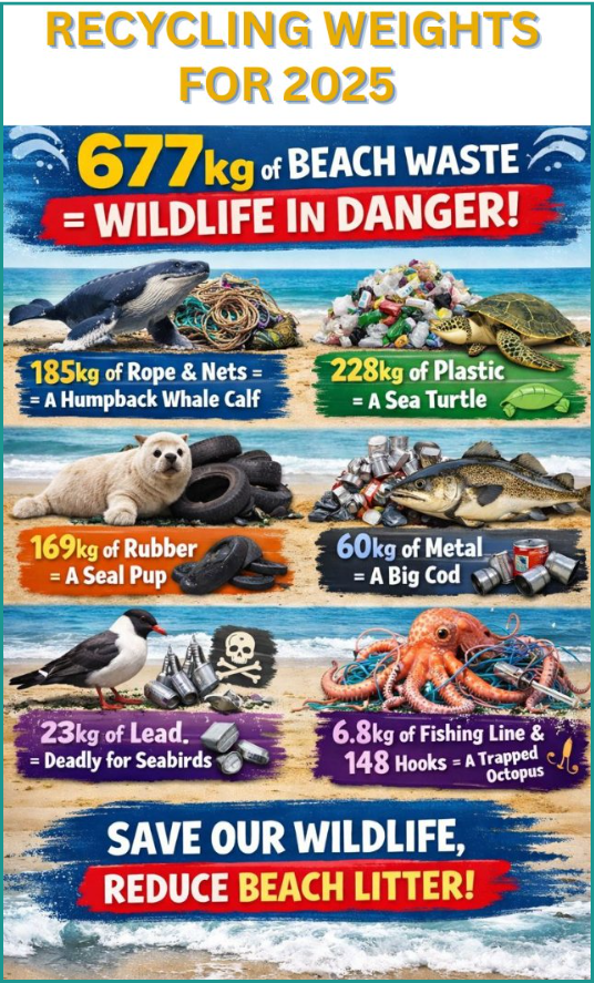 Selsey Beach litter ninjas 2025